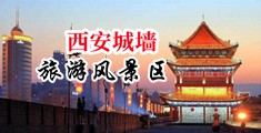 黄色美女草壁网站入口中国陕西-西安城墙旅游风景区